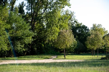Parc de Mussonville de Begles (2).